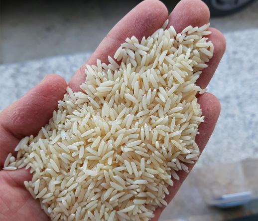خرید برنج عطری هاشمی اصل