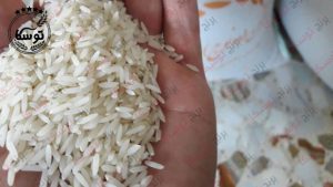 برنج طارم دلمانی چیست؟