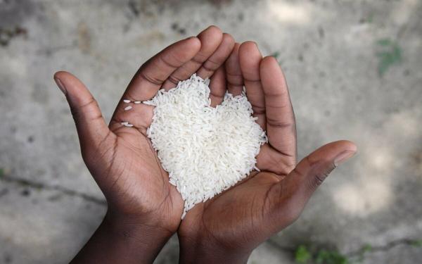 فواید برنج نیم دانه عطری چیست؟