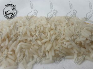 میزان صادرات برنج شیرودی پاییزه