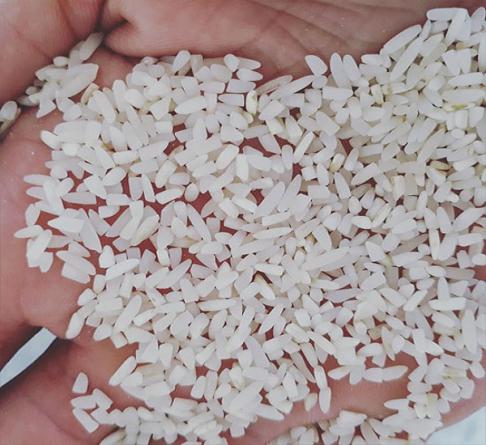فروش برنج نیم دانه ارزان قیمت