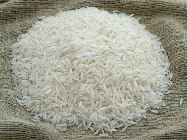 مزایای برنج طارم سنگی محلی فریدونکنار