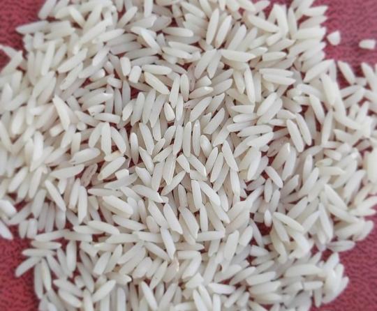 مشخصات برنج دانه بلند شیرودی