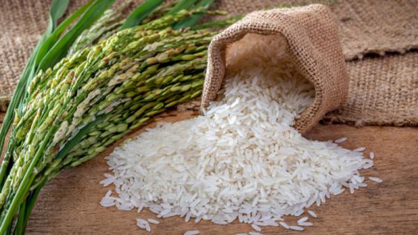 5 ویژگی برنج طارم هاشمی درجه یک