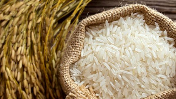 درباره برنج دله بیشتر بدانید