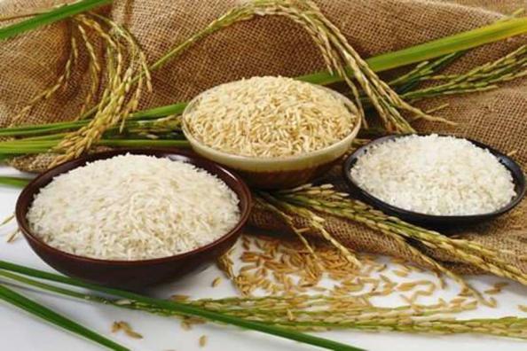 عرضه کننده برنج اصیل ایرانی| برنج توسکا