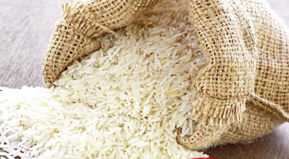 خرید برنج طارم سنگی درجه یک