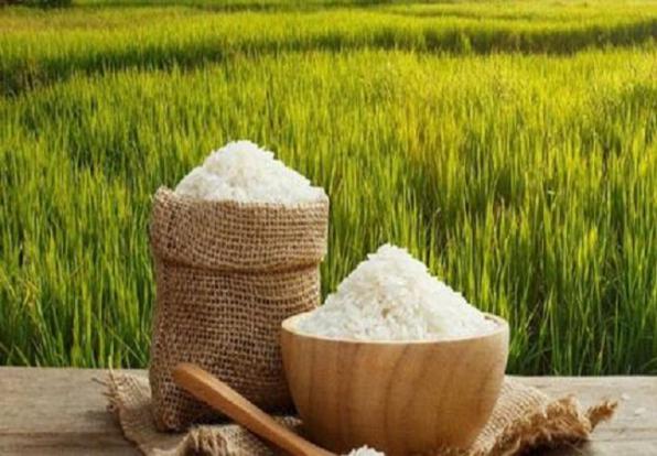 مرکز خرید برنج ارزان ایران