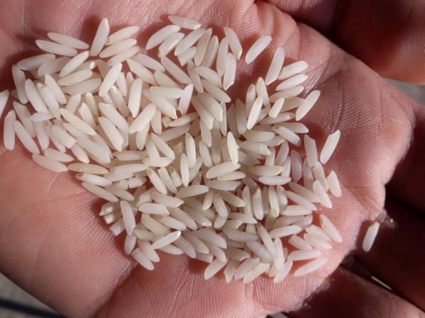 بهترین قیمت برنج طارم چین دوم
