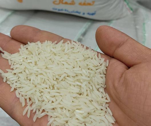 خرید برنج دانه بلند شیرودی تراریخته