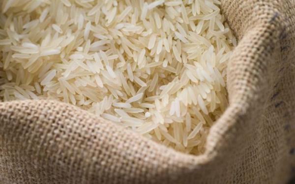 فواید مصرف برنج دانه بلند کشت دوم