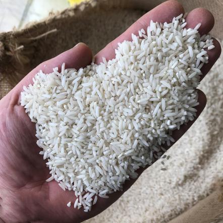 نحوه خرید عمده برنج شکسته ایرانی
