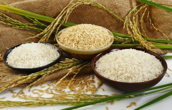 قیمت برنج نرمه طارم ممتاز