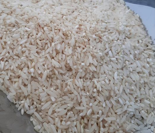 فروش برنج لاشه کشت دوم عمده
