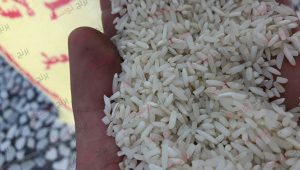 خرید برنج سرلاشه
