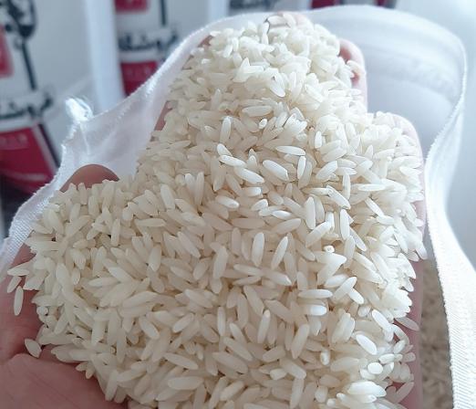 قیمت خرید برنج لاشه کشت دوم