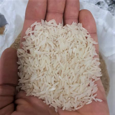 قیمت برنج فجر سورتینگ شده سال 99