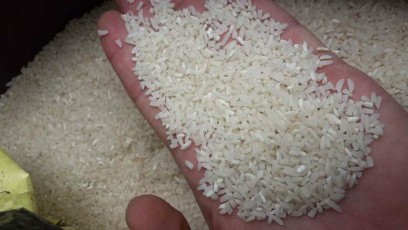 خرید برنج هاشمی سورتینگ شده درجه یک