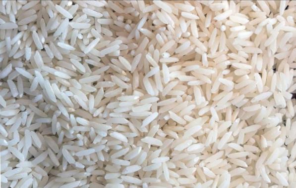 قیمت برنج استخوانی درجه یک شمال