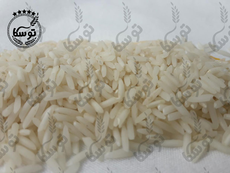 برنج شیرودی دانه بلند از کجا بخریم؟
