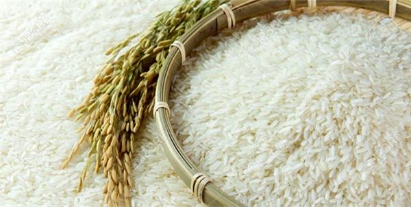 خرید برنج نرمه درجه یک ایرانی