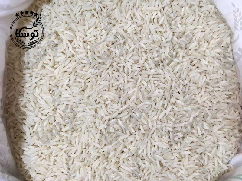 خرید و فروش برنج شیرودی مازندران