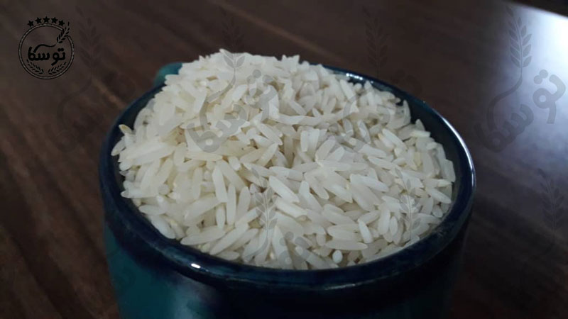 خرید عمده برنج پرمحصول مازندران