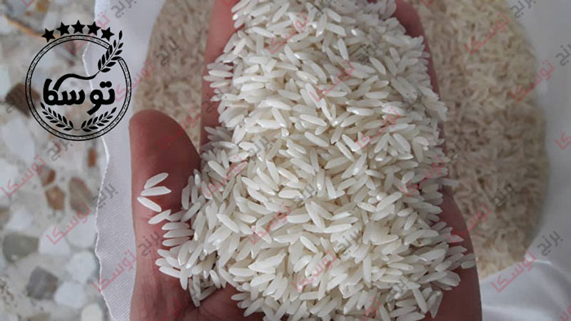 انواع برنج طارم ایرانی