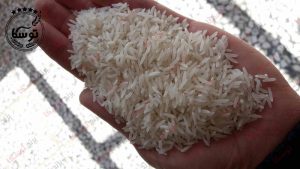 قیمت برنج فجر در بازار ایران