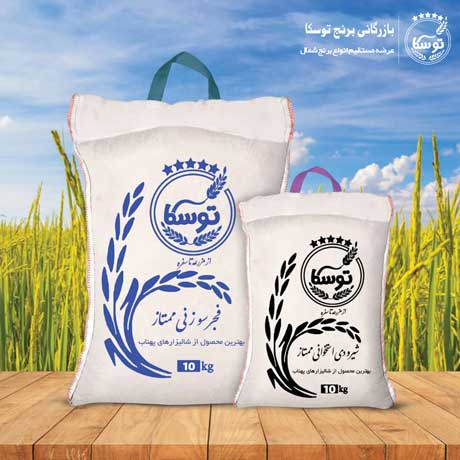 تولید کننده برنج شیرودی استخوانی در مازندران