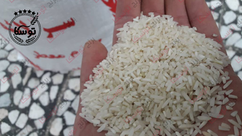فروش مستقیم برنج شکسته طارم معطر