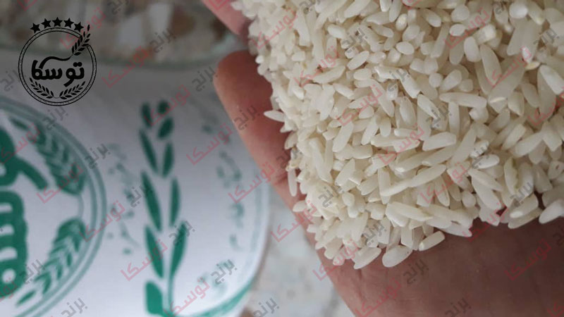 بزرگترین مشکلات صادرات برنج در دنیا