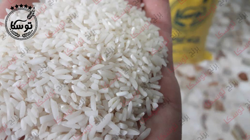 خرید برنج لاشه شیرودی کیسه ۲۰ کیلویی