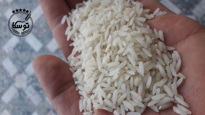 مشخصات برنج طارم درجه یک صادراتی