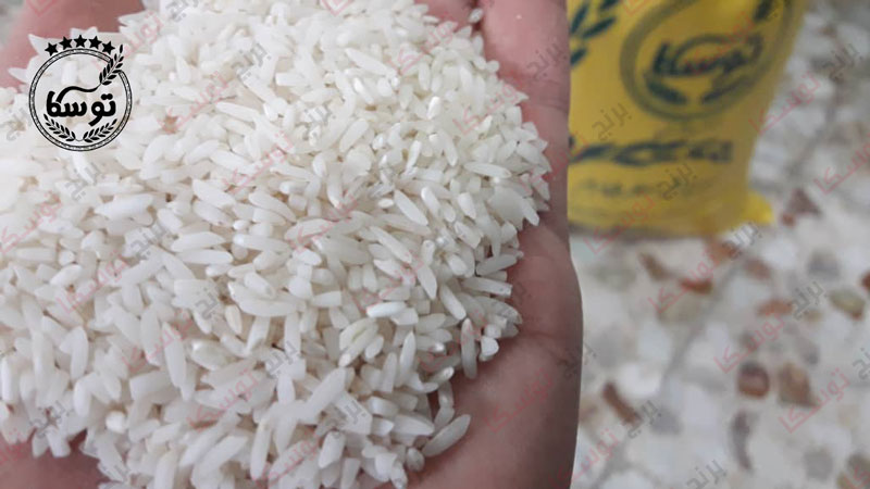 قیمت برنج سرلاشه طارم هاشمی در مازندران