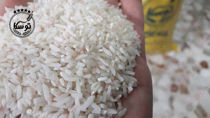 فروش برنج سرلاشه پرمحصول ایرانی