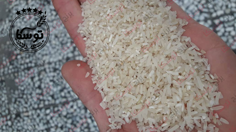 فروش عمده برنج نیم دانه فجر