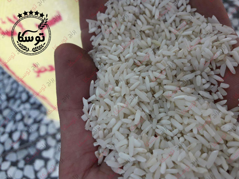 قیمت برنج لاشه طارم معطر شمال