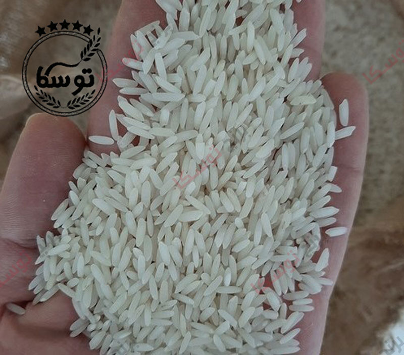 خریدار برنج کشت دوم عطری مازندران
