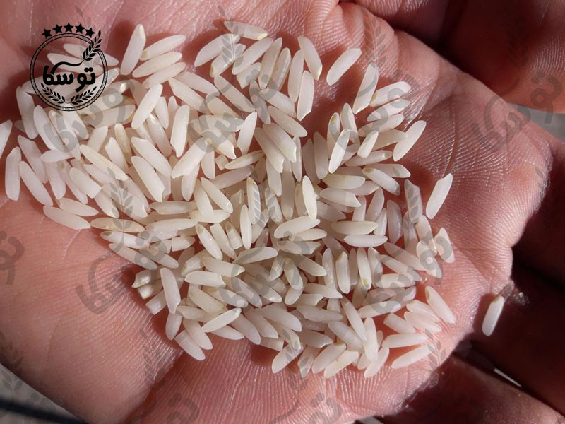 معرفی برنج وحشی دونوج