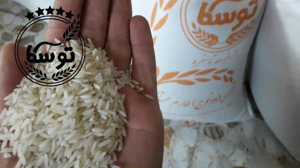 عوامل موثر بر کیفیت پر طرفدار ترین برنج مازندران
