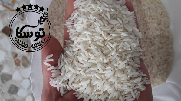 عرضه بی واسطه برنج هاشمی کشت اول