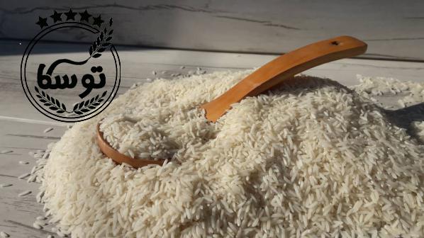 صادرات برنج طارم دوبار کشت