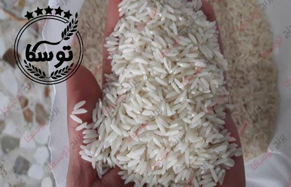 انواع واریته برنج صادراتی
