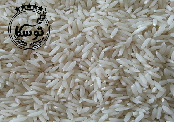 مرجع خرید برنج طارم هاشمی درجه یک شمال